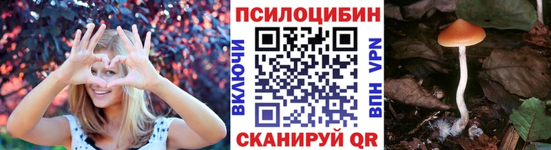 Псилоцибиновые грибы Psilocybine cubensis  Опочка 